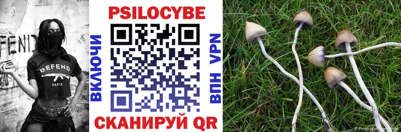 Галлюциногенные грибы Psilocybine cubensis  Игарка 